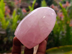 Polished Rose Quartz Standing Free Forms x 6 From Madagascar - Toprock Gemstones and Minerals 