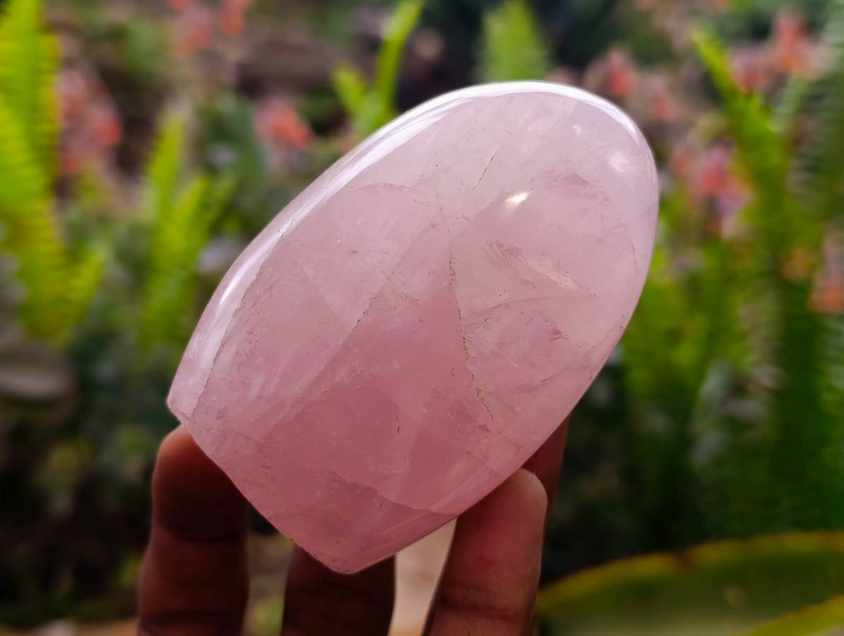 Polished Rose Quartz Standing Free Forms x 6 From Madagascar - Toprock Gemstones and Minerals 