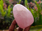 Polished Rose Quartz Standing Free Forms x 6 From Madagascar - Toprock Gemstones and Minerals 