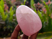 Polished Rose Quartz Standing Free Forms x 6 From Madagascar