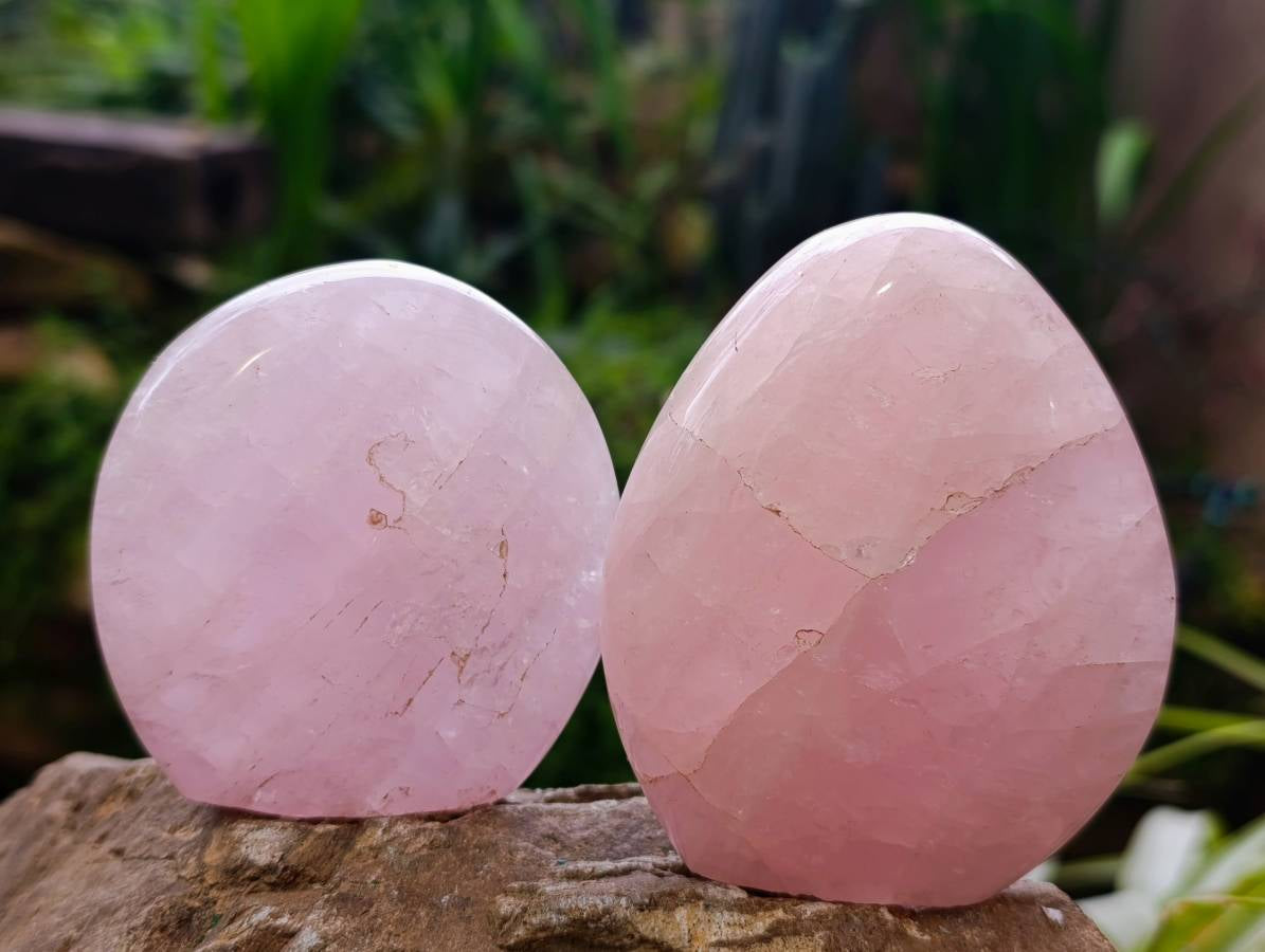 Polished Rose Quartz Standing Free Forms x 6 From Madagascar - Toprock Gemstones and Minerals 