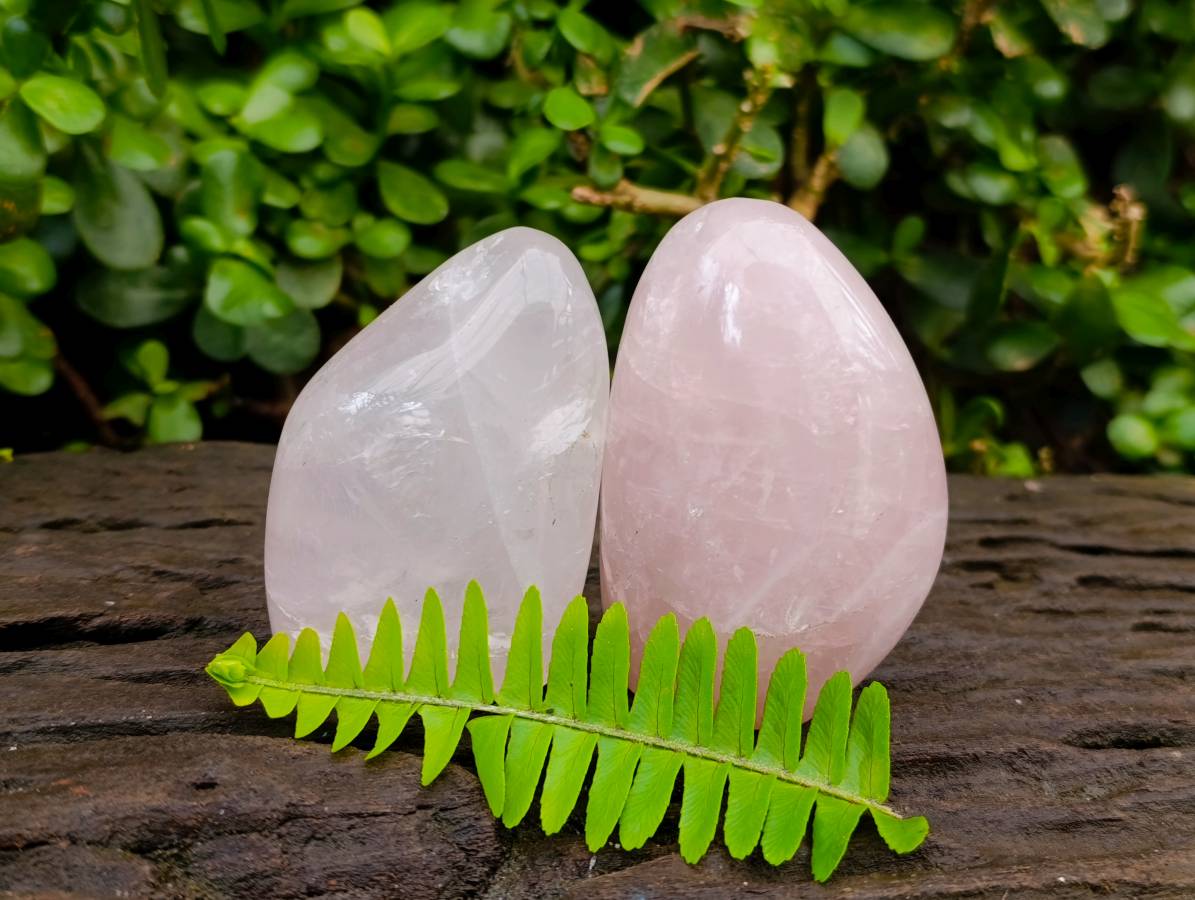 Polished Rose Quartz Standing Free Forms x 6 From Madagascar - Toprock Gemstones and Minerals 