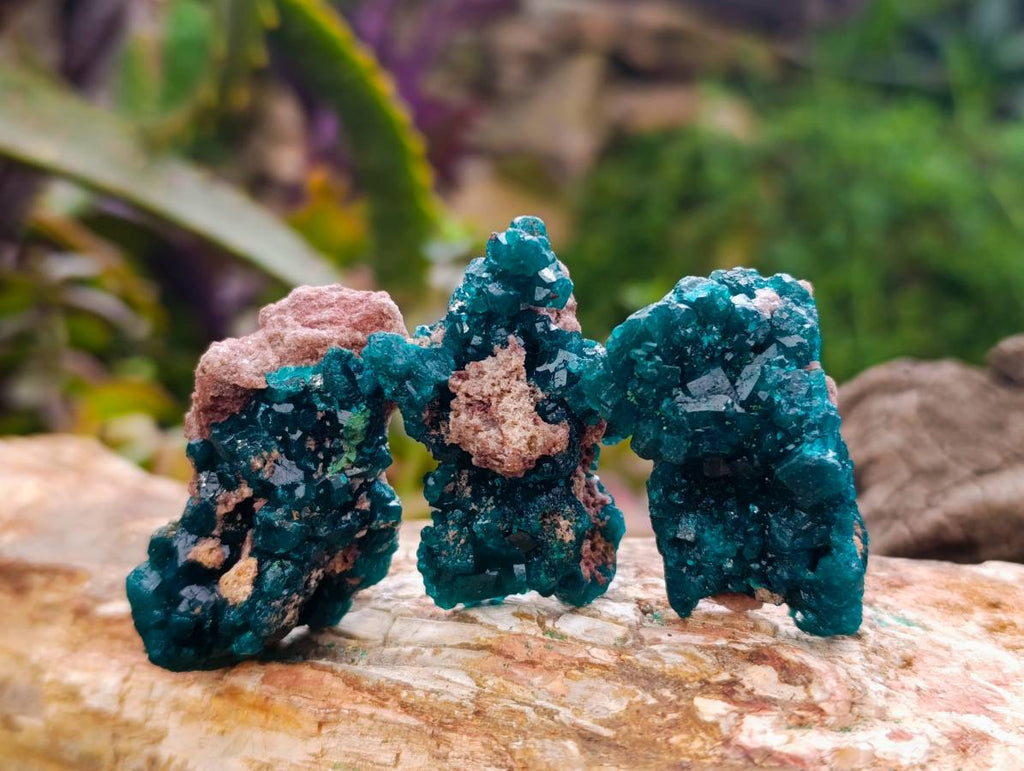 Natural Dioptase On Dolomite Specimens x 20 From Likasi, Congo - Toprock Gemstones and Minerals 