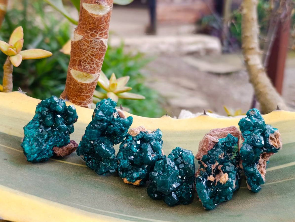 Natural Dioptase On Dolomite Specimens x 20 From Likasi, Congo - Toprock Gemstones and Minerals 