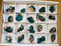 Natural Dioptase On Dolomite Specimens x 20 From Likasi, Congo