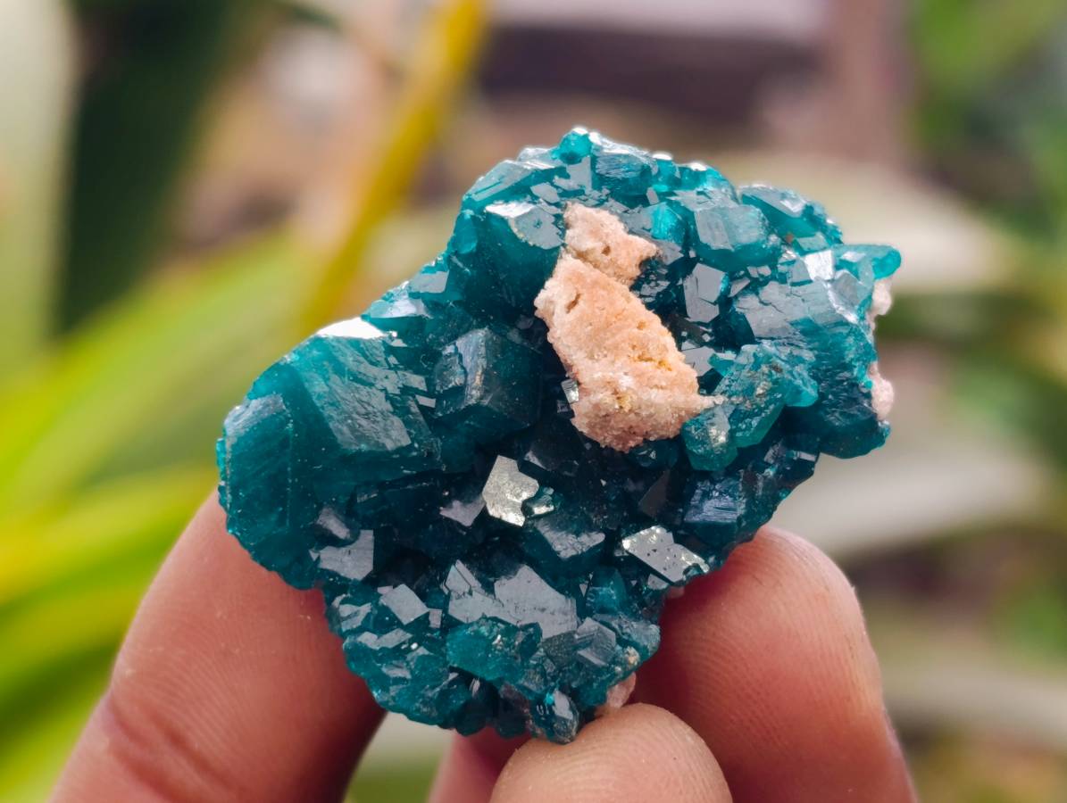 Natural Dioptase On Dolomite Specimens x 20 From Likasi, Congo - Toprock Gemstones and Minerals 