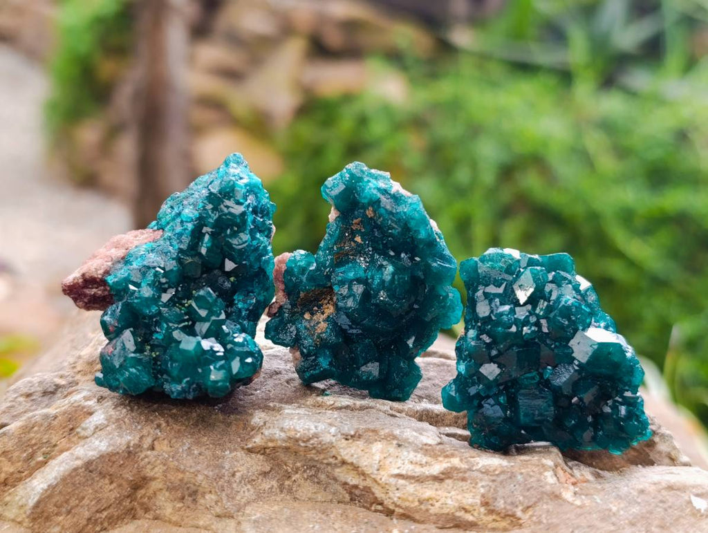 Natural Dioptase On Dolomite Specimens x 20 From Likasi, Congo - Toprock Gemstones and Minerals 