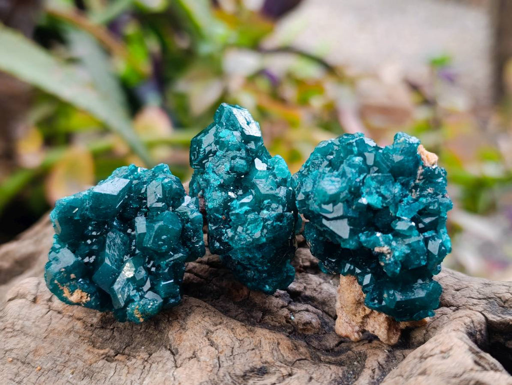 Natural Dioptase On Dolomite Specimens x 20 From Likasi, Congo - Toprock Gemstones and Minerals 