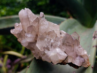 Natural Quartz Crystal Clusters x 12 From Madagascar
