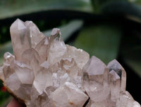 Natural Quartz Crystal Clusters x 12 From Madagascar