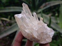 Natural Quartz Crystal Clusters x 12 From Madagascar