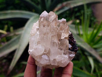 Natural Quartz Crystal Clusters x 12 From Madagascar