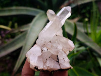 Natural Quartz Crystal Clusters x 12 From Madagascar