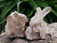 Natural Quartz Crystal Clusters x 12 From Madagascar