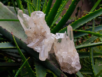 Natural Quartz Crystal Clusters x 12 From Madagascar