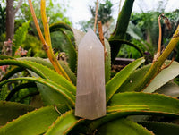 Polished Blue Rose Quartz Points x 3 From Madagascar
