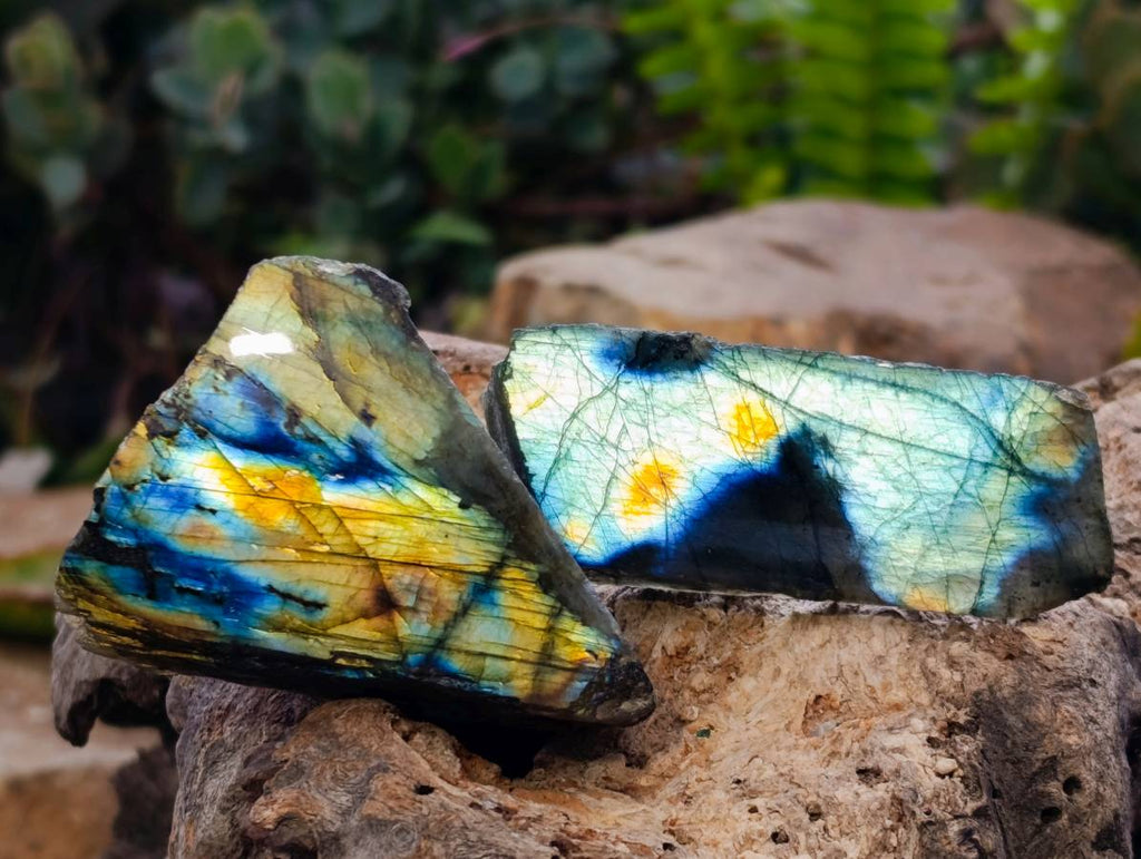 Polished On One Side Labradorite x 26 From Tulear, Madagascar - Toprock Gemstones and Minerals 