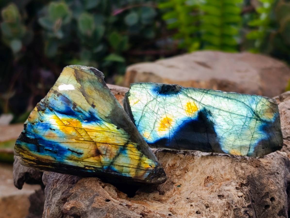 Polished On One Side Labradorite x 26 From Tulear, Madagascar - Toprock Gemstones and Minerals 