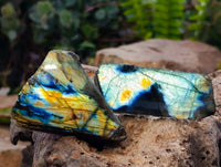 Polished On One Side Labradorite x 26 From Tulear, Madagascar