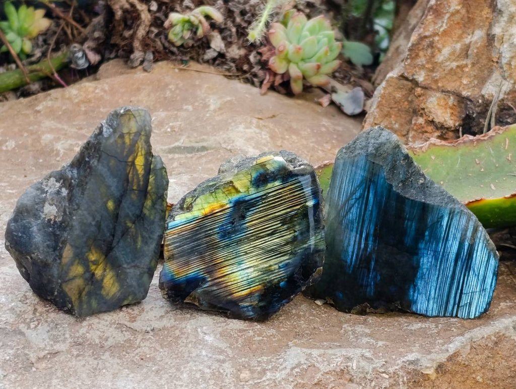 Polished On One Side Labradorite x 26 From Tulear, Madagascar - Toprock Gemstones and Minerals 