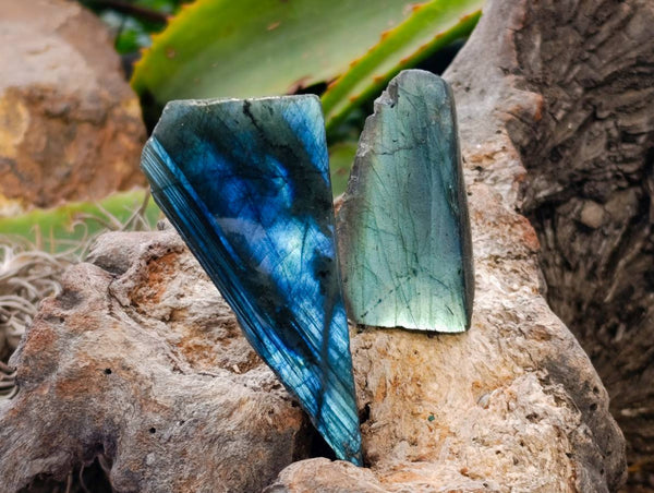 Polished On One Side Labradorite x 26 From Tulear, Madagascar