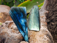 Polished On One Side Labradorite x 26 From Tulear, Madagascar