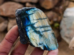 Polished On One Side Labradorite x 26 From Tulear, Madagascar - Toprock Gemstones and Minerals 