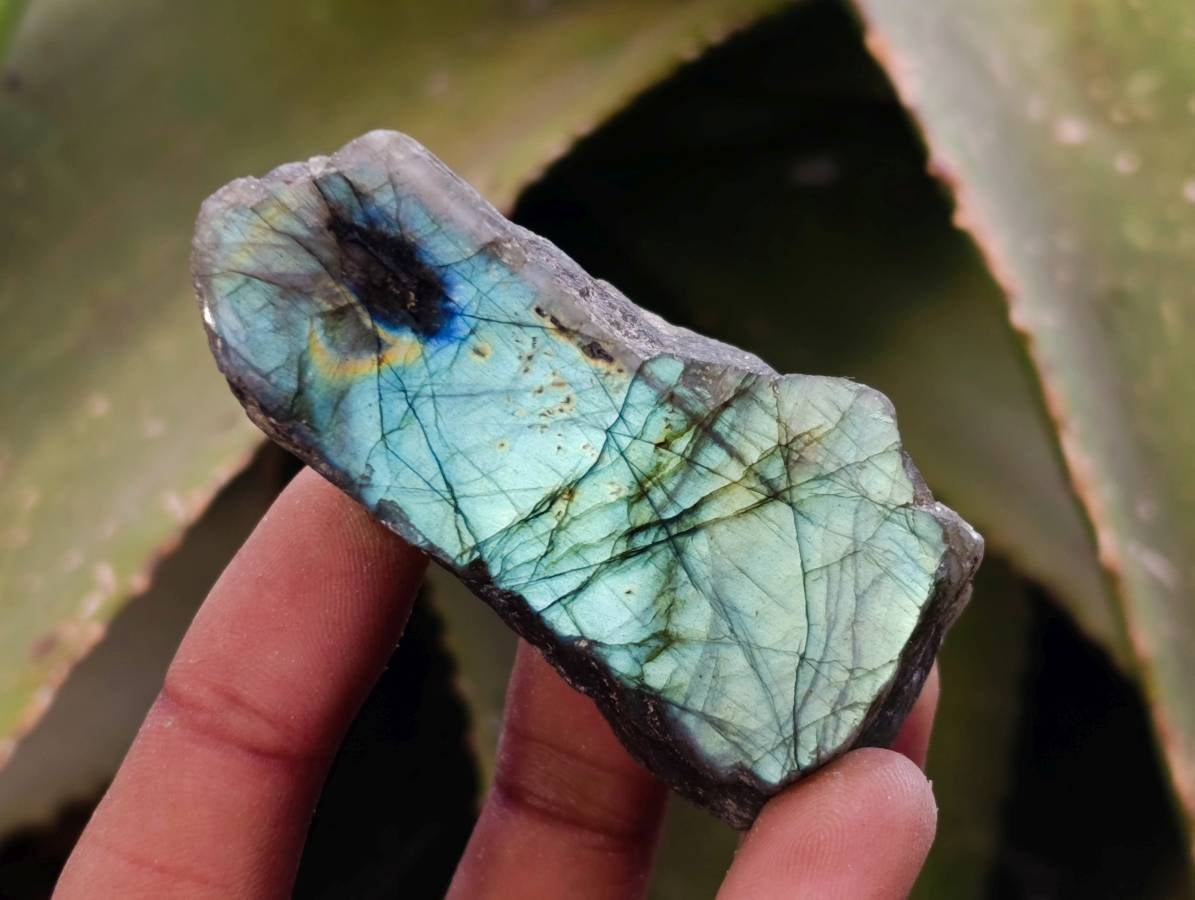 Polished On One Side Labradorite x 26 From Tulear, Madagascar - Toprock Gemstones and Minerals 