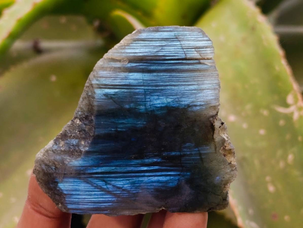 Polished On One Side Labradorite x 26 From Tulear, Madagascar - Toprock Gemstones and Minerals 