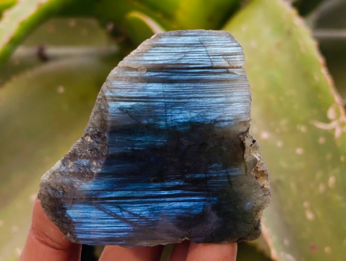 Polished On One Side Labradorite x 26 From Tulear, Madagascar - Toprock Gemstones and Minerals 