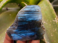 Polished On One Side Labradorite x 26 From Tulear, Madagascar