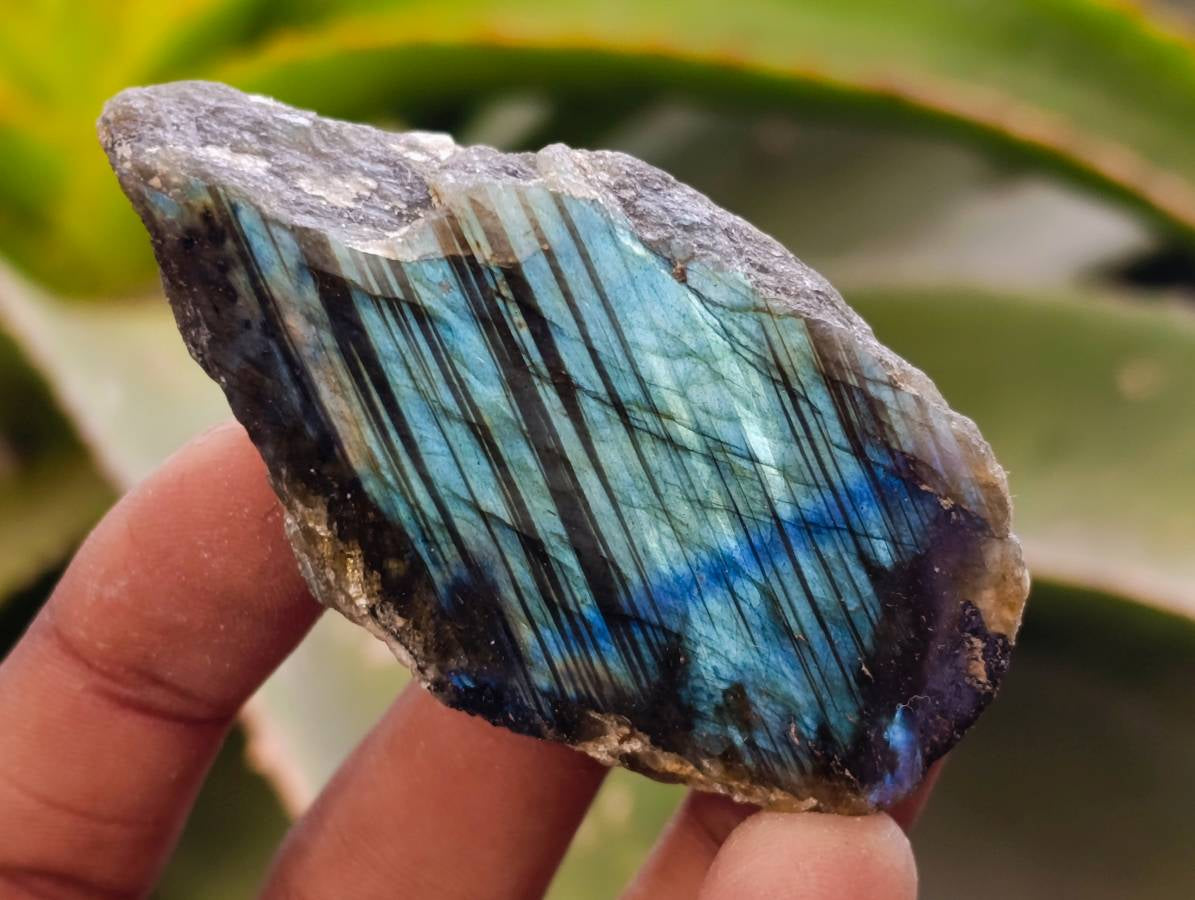 Polished On One Side Labradorite x 26 From Tulear, Madagascar - Toprock Gemstones and Minerals 