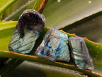 Polished On One Side Labradorite x 26 From Tulear, Madagascar - Toprock Gemstones and Minerals 