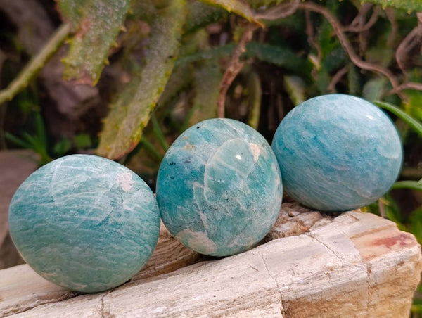 Polished Amazonite Palm Stones x 12 From Madagascar