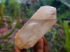 Natural & Polished Quartz Crystals x 3 From Madagascar - Toprock Gemstones and Minerals 