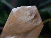 Natural & Polished Quartz Crystals x 3 From Madagascar