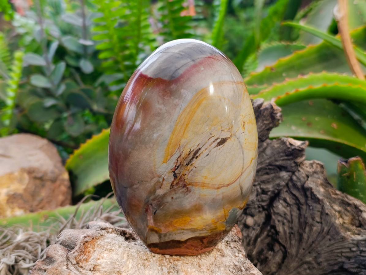 Polished Polychrome Jasper Standing Free Forms x 2 From NW Coast, Madagascar - Toprock Gemstones and Minerals 