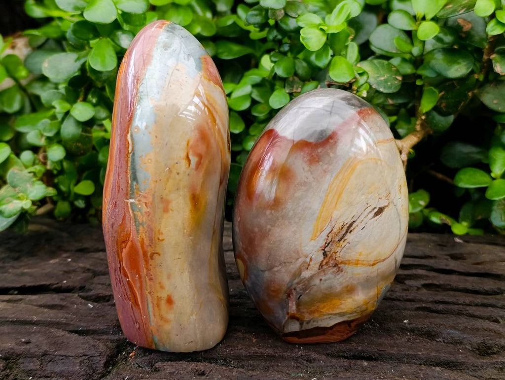 Polished Polychrome Jasper Standing Free Forms x 2 From NW Coast, Madagascar - Toprock Gemstones and Minerals 