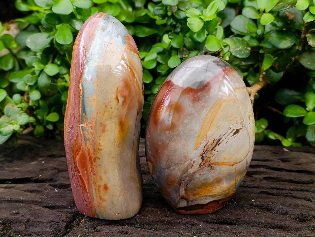 Polished Polychrome Jasper Standing Free Forms x 2 From NW Coast, Madagascar - Toprock Gemstones and Minerals 