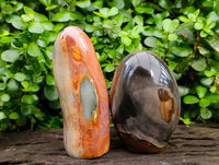 Polished Polychrome Jasper Standing Free Forms x 2 From NW Coast, Madagascar