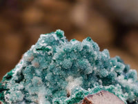 Natural Drusy Coated Malachite On Dolomite Specimens x 3 From Lupoto Mine, Congo