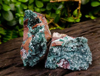 Natural Drusy Coated Malachite On Dolomite Specimens x 3 From Lupoto Mine, Congo