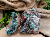 Natural Drusy Coated Malachite On Dolomite Specimens x 3 From Lupoto Mine, Congo