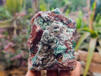 Natural Drusy Coated Malachite On Dolomite Specimens x 3 From Lupoto Mine, Congo