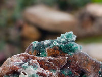 Natural Drusy Coated Malachite On Dolomite Specimens x 3 From Lupoto Mine, Congo