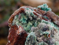 Natural Drusy Coated Malachite On Dolomite Specimens x 3 From Lupoto Mine, Congo