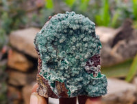 Natural Drusy Coated Malachite On Dolomite Specimens x 3 From Lupoto Mine, Congo