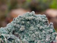 Natural Drusy Coated Malachite On Dolomite Specimens x 3 From Lupoto Mine, Congo