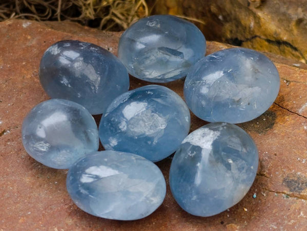 Polished Blue Celestite Free Forms x 55 From Sakoany, Madagascar