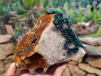 Natural Ball Malachite and Drusy Quartz On Dolomite Matrix Specimen x 1 From Mindingi Mine, Kambove, Congo